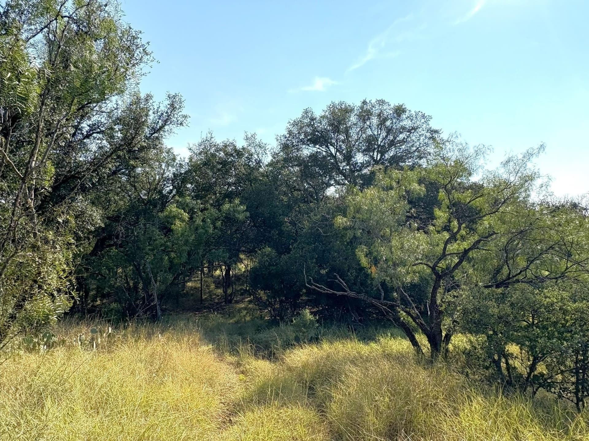 5.99 acres in Llano County - photo 5
