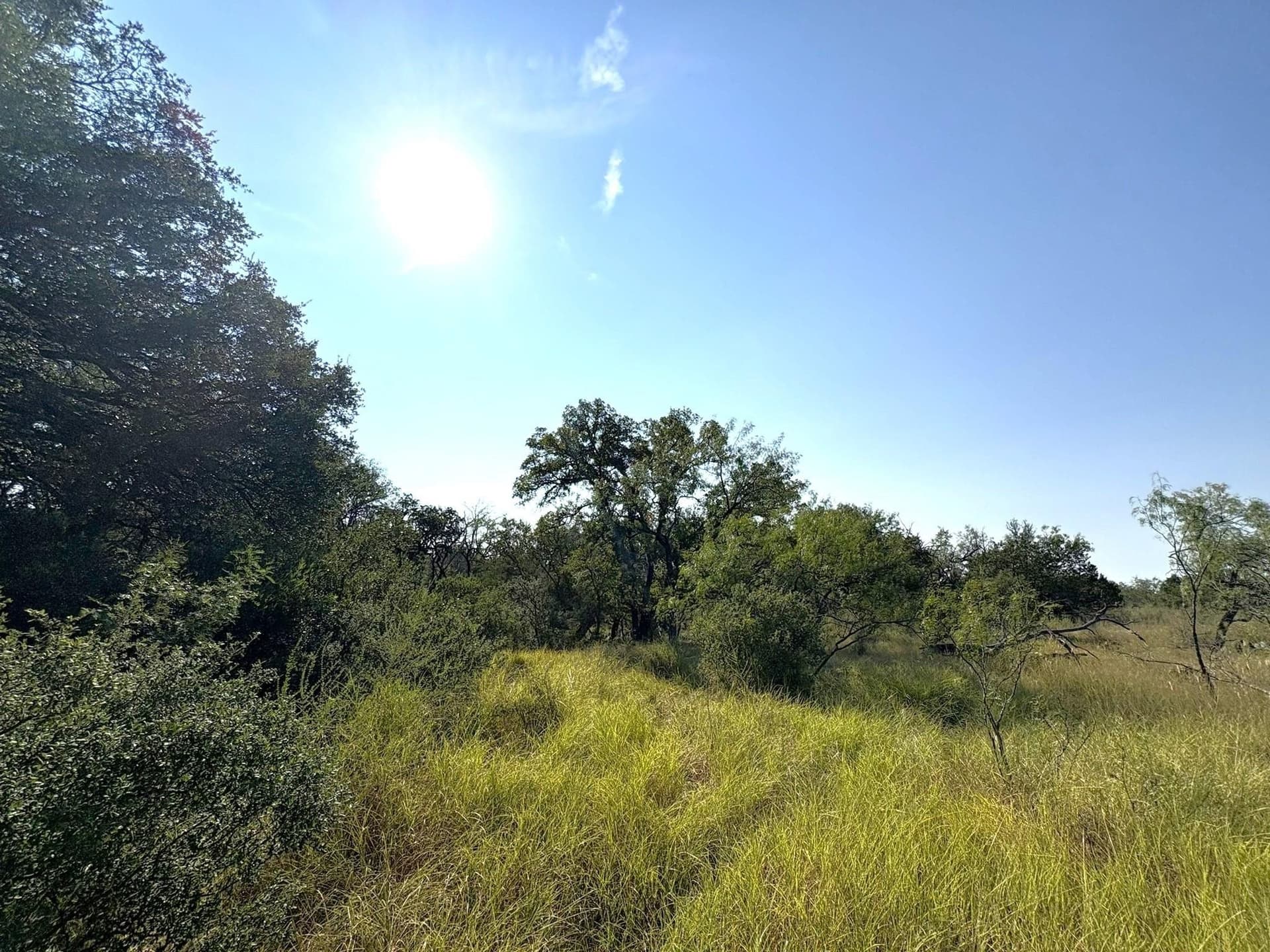 5.99 acres in Llano County - photo 10