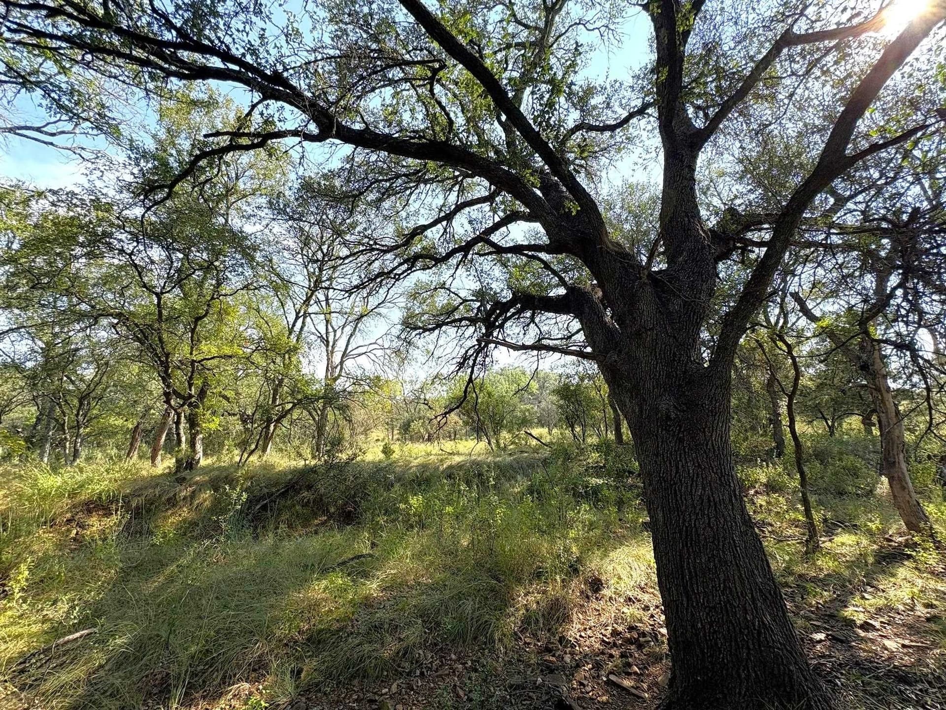 5.99 acres in Llano County - photo 14