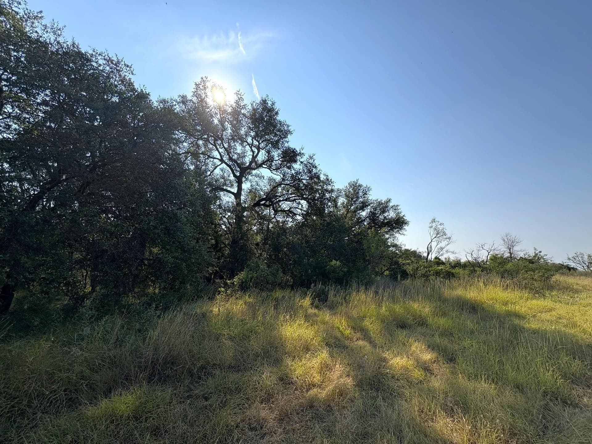 5.99 acres in Llano County - photo 6