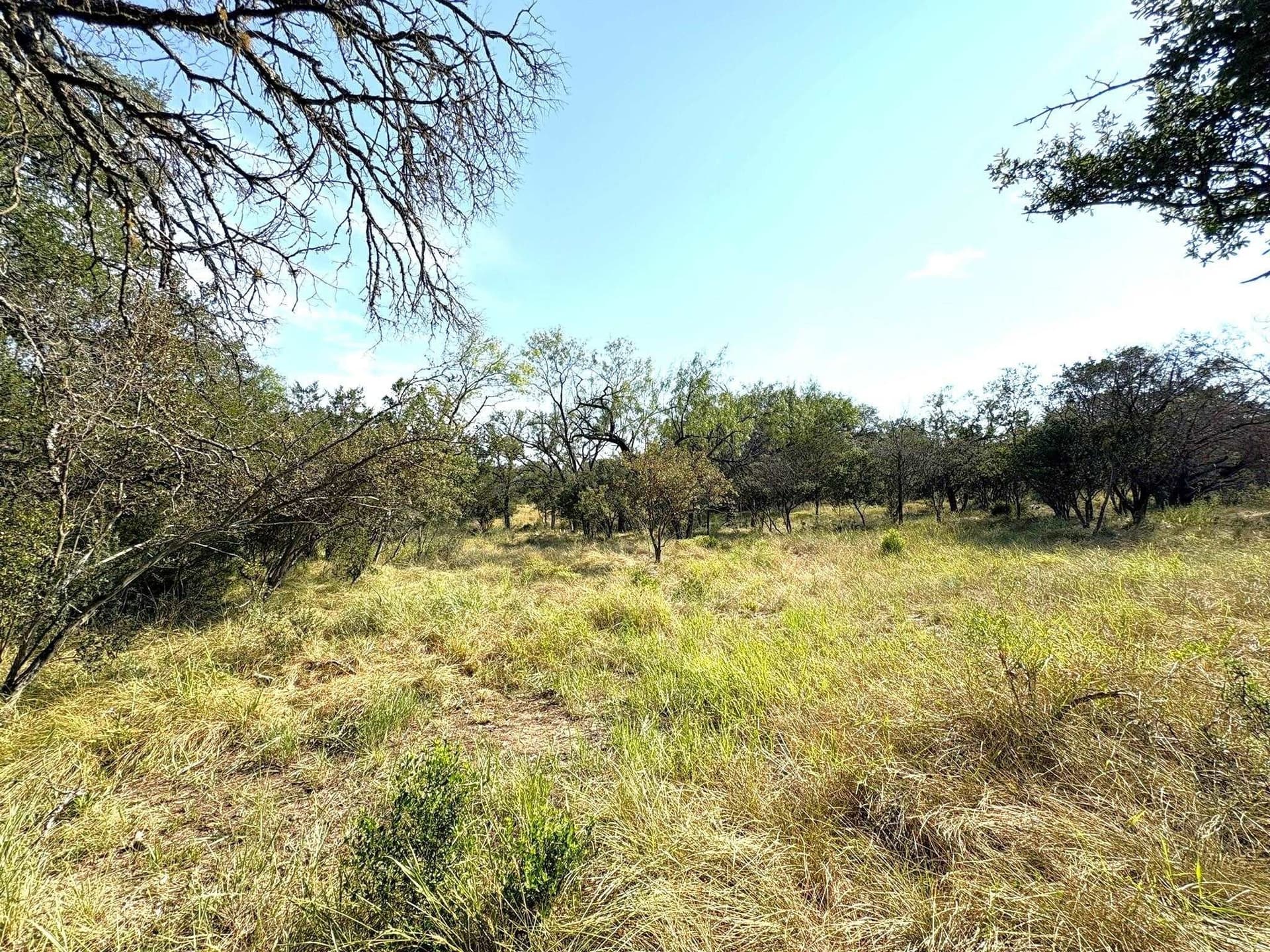 5.99 acres in Llano County - photo 17
