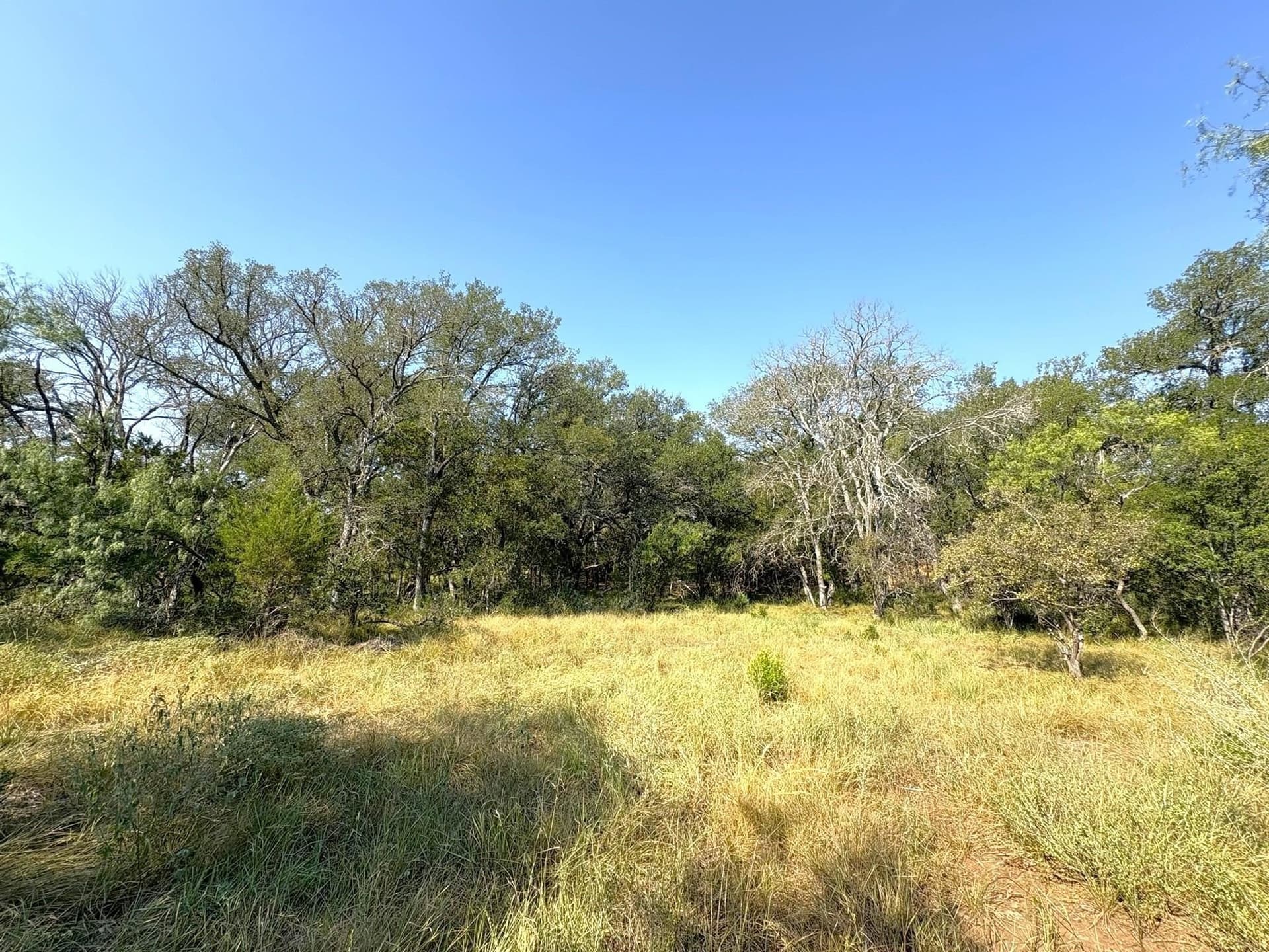 5.99 acres in Llano County - photo 18