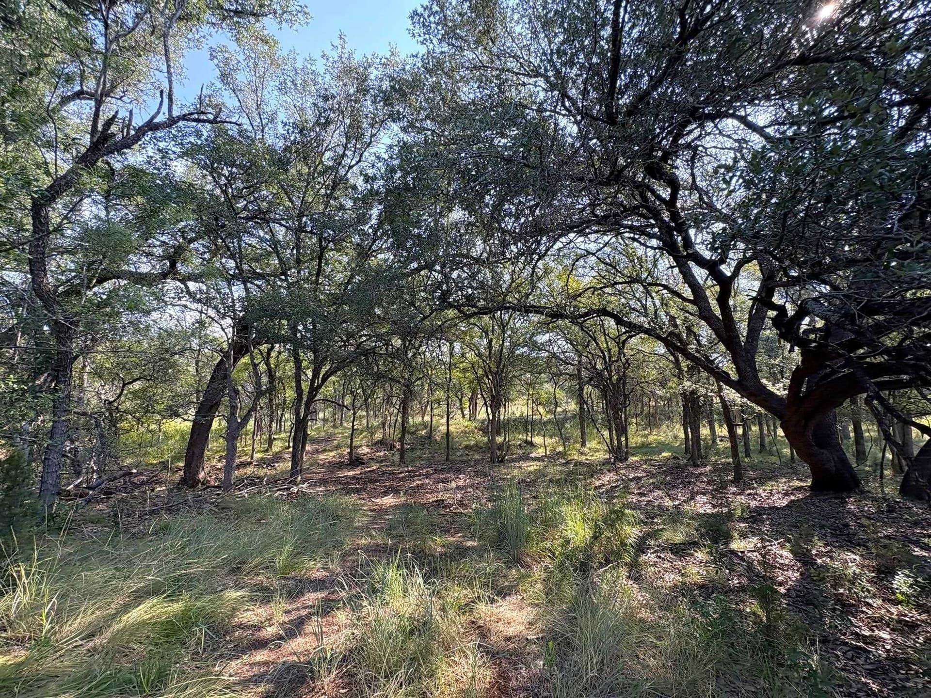 5.99 acres in Llano County - photo 2