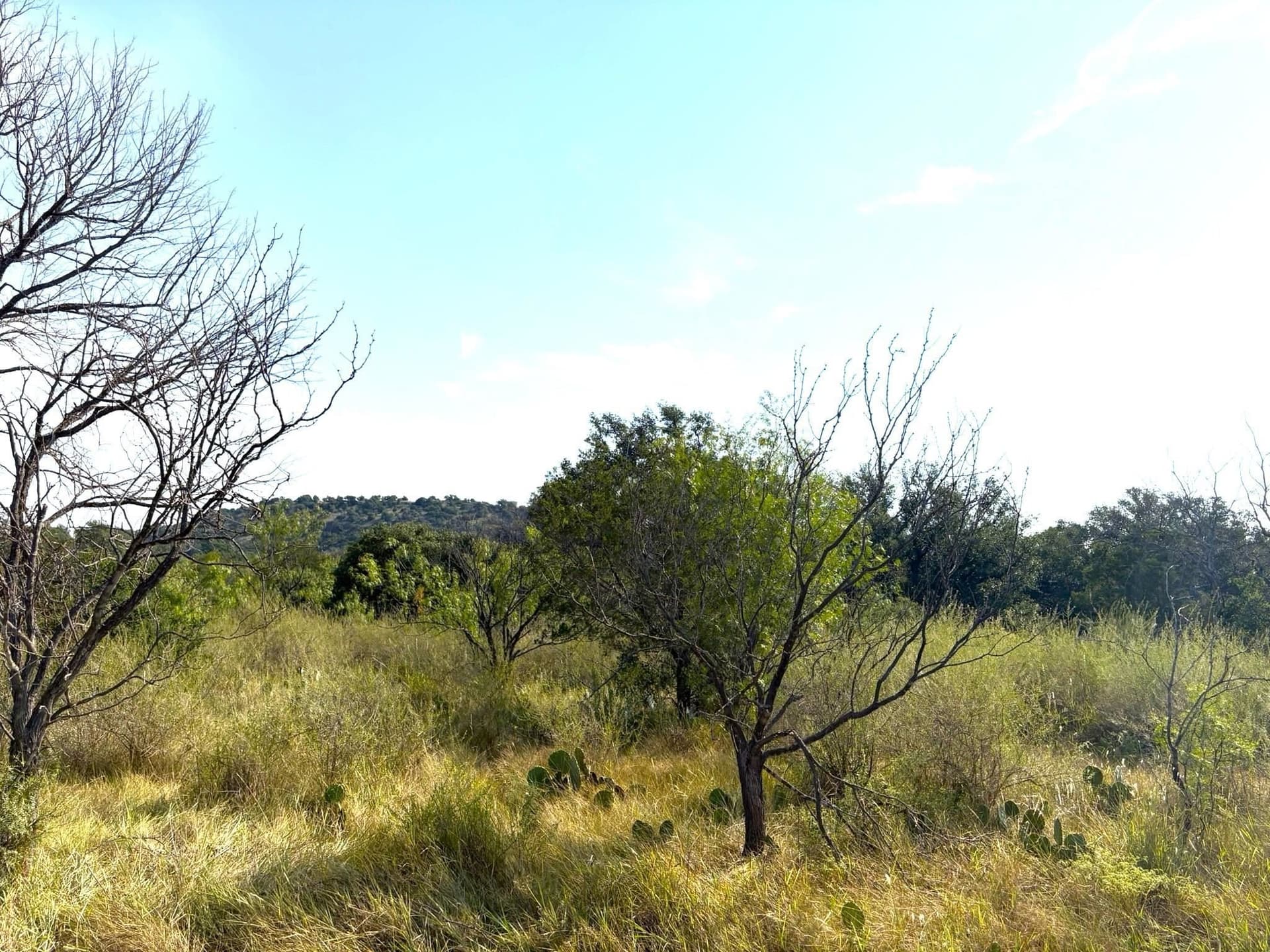 5.99 acres in Llano County - photo 7