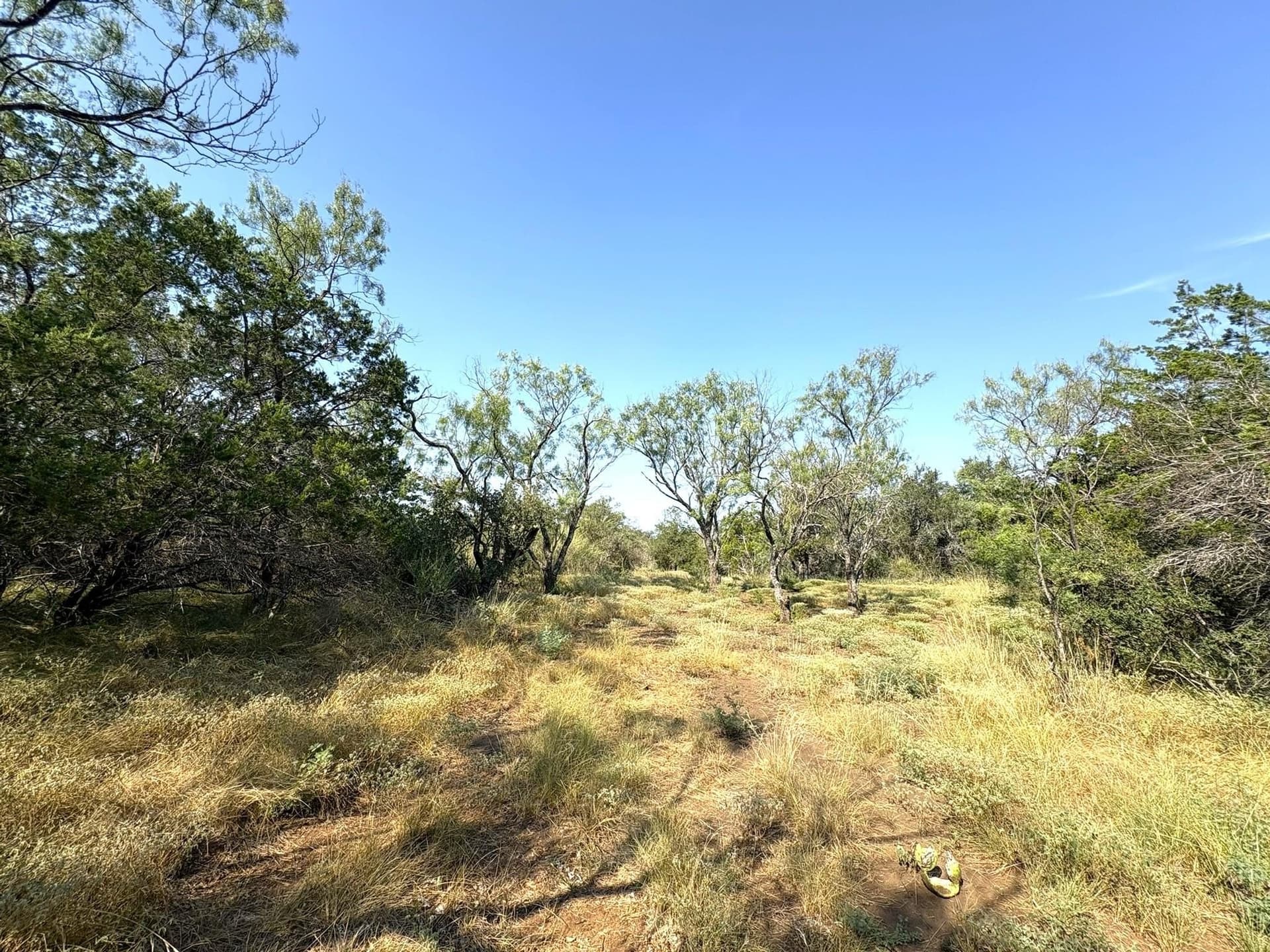 5.99 acres in Llano County - photo 22