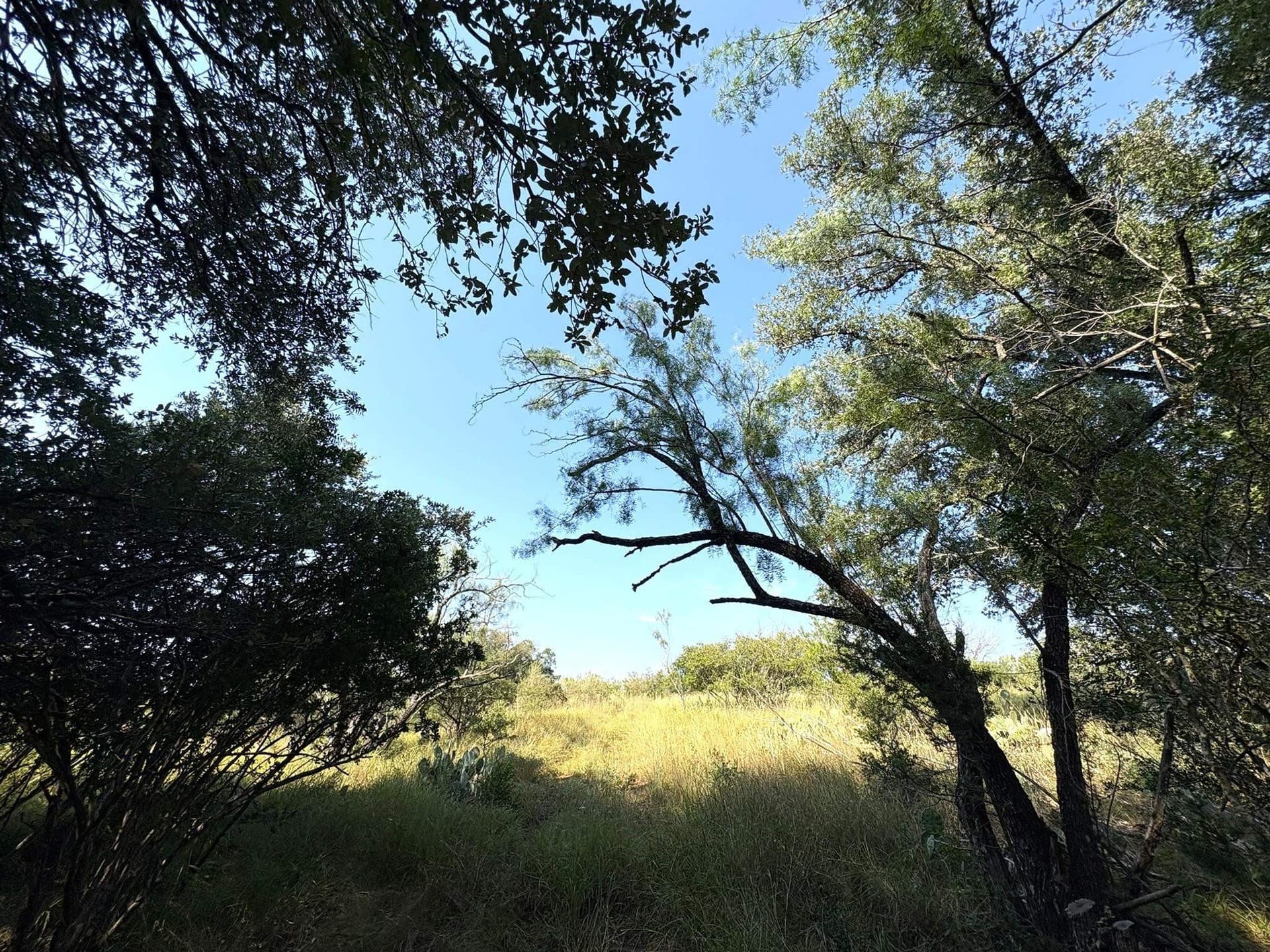 5.99 acres in Llano County - photo 13
