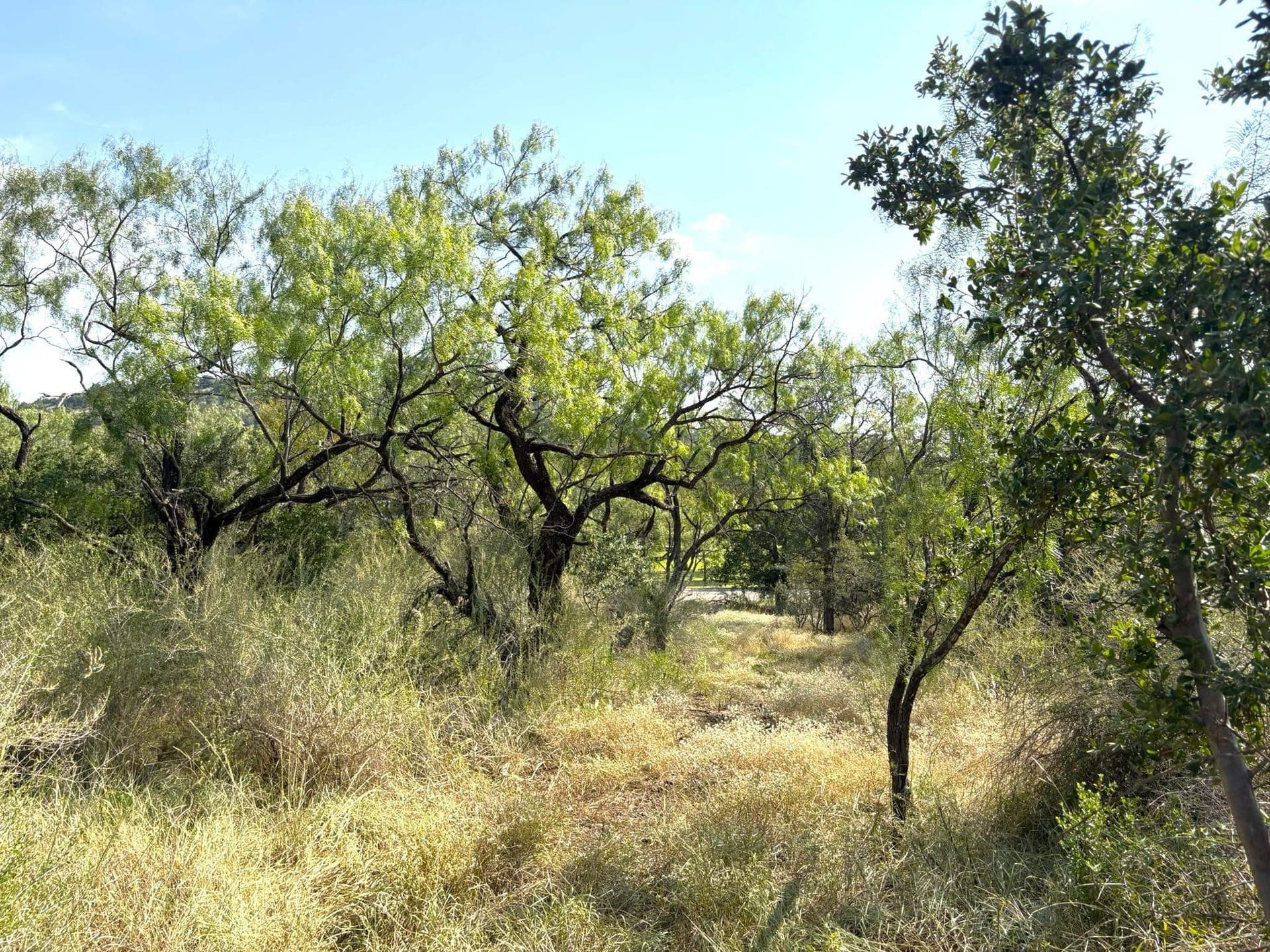 5.99 acres in Llano County - photo 23