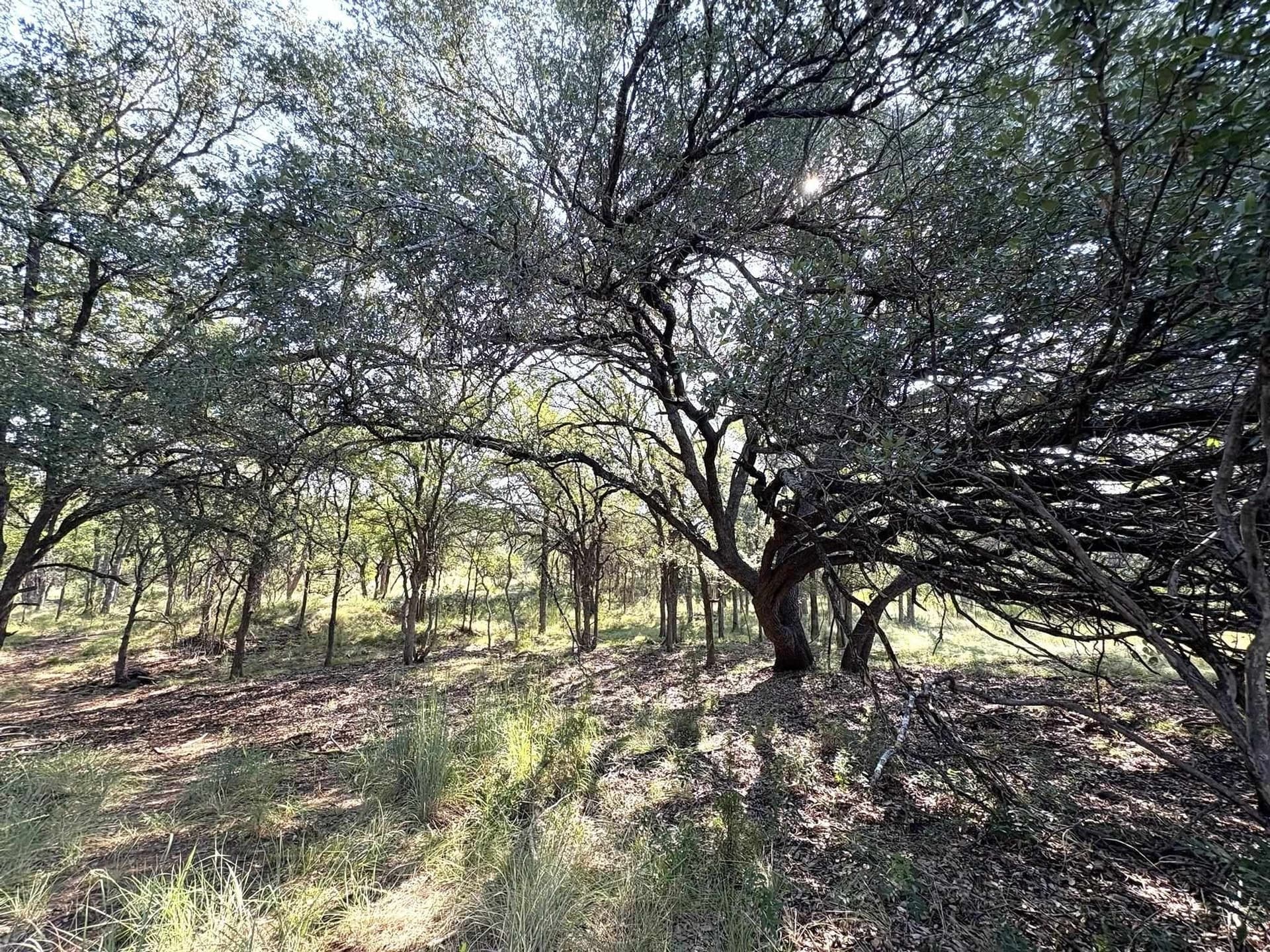 5.99 acres in Llano County - photo 11