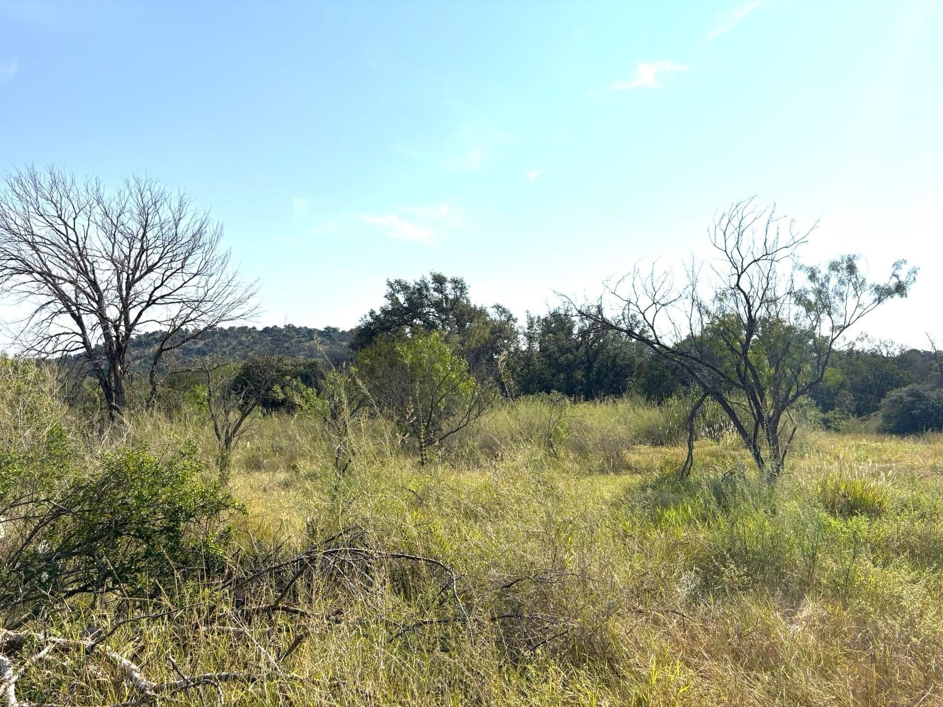 5.99 acres in Llano County - photo 3