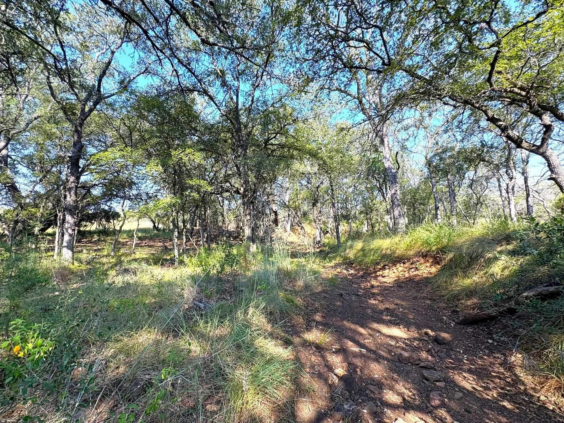5.99 acres in Llano County - photo 15