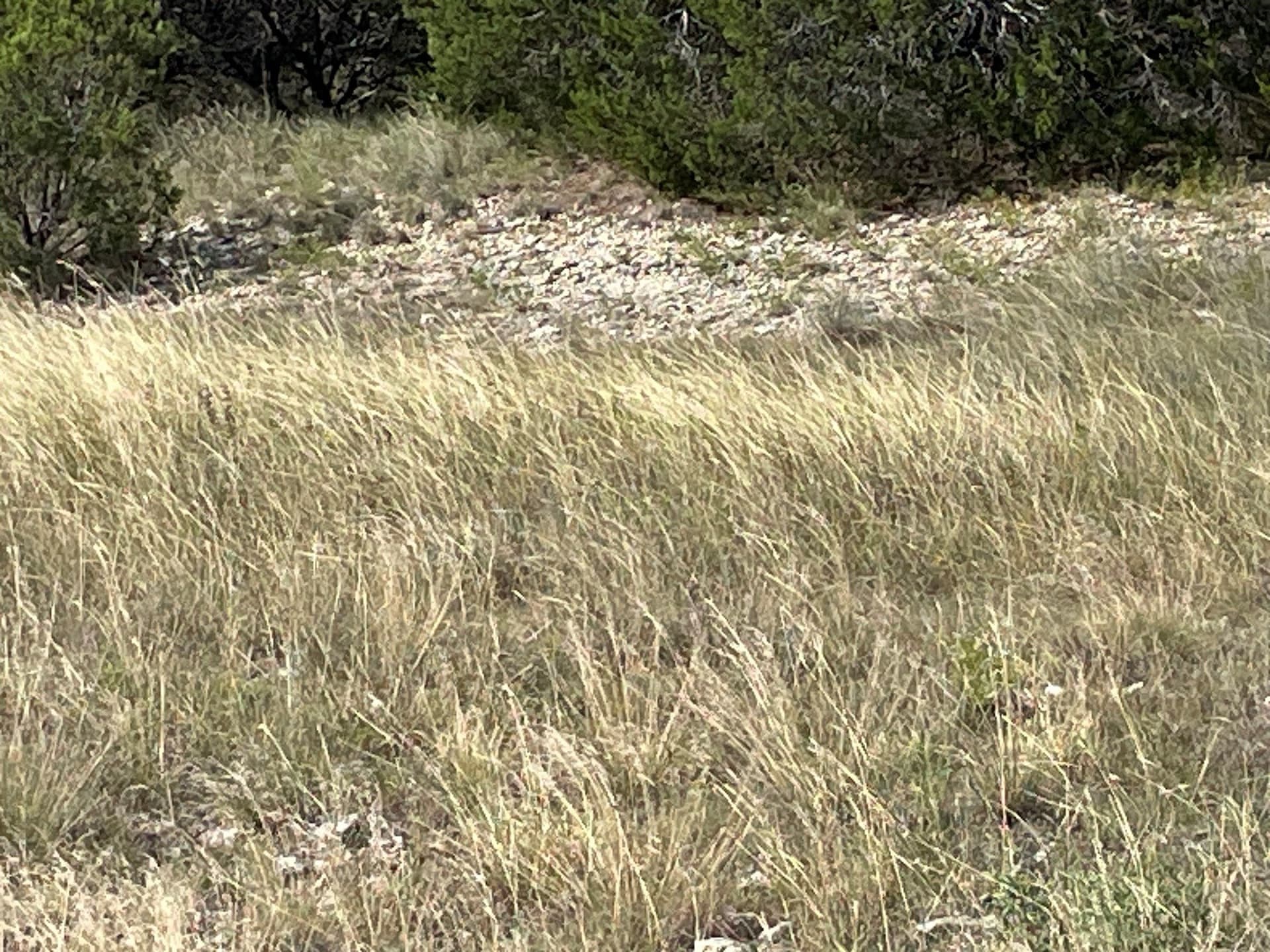 1.01 acres in Erath County - photo 6