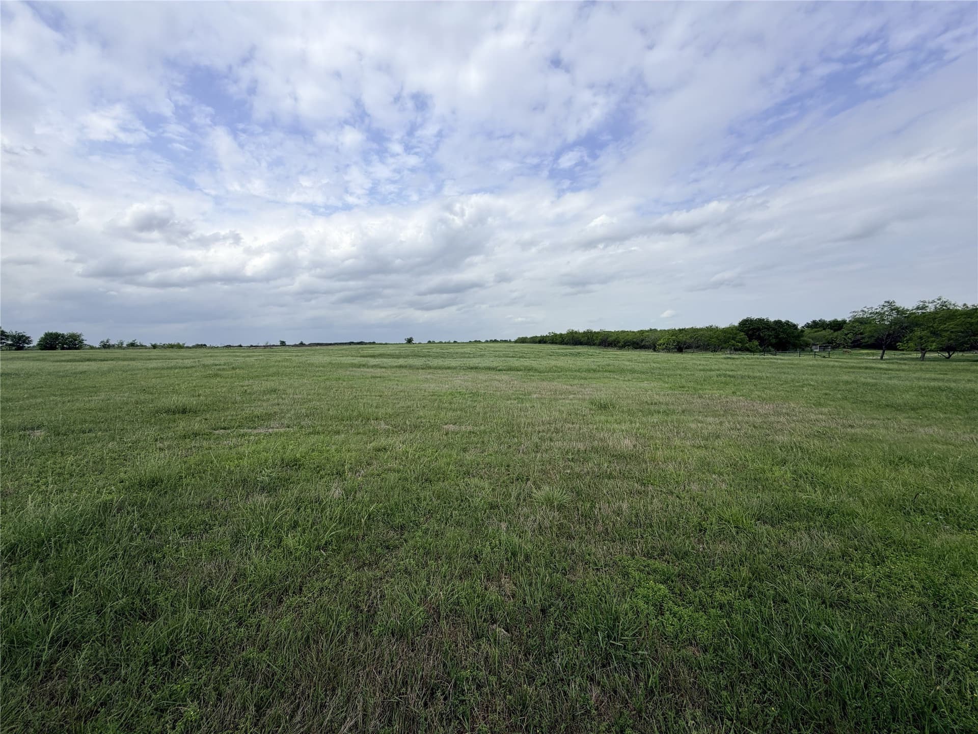 14 acres in Ellis County - photo 8