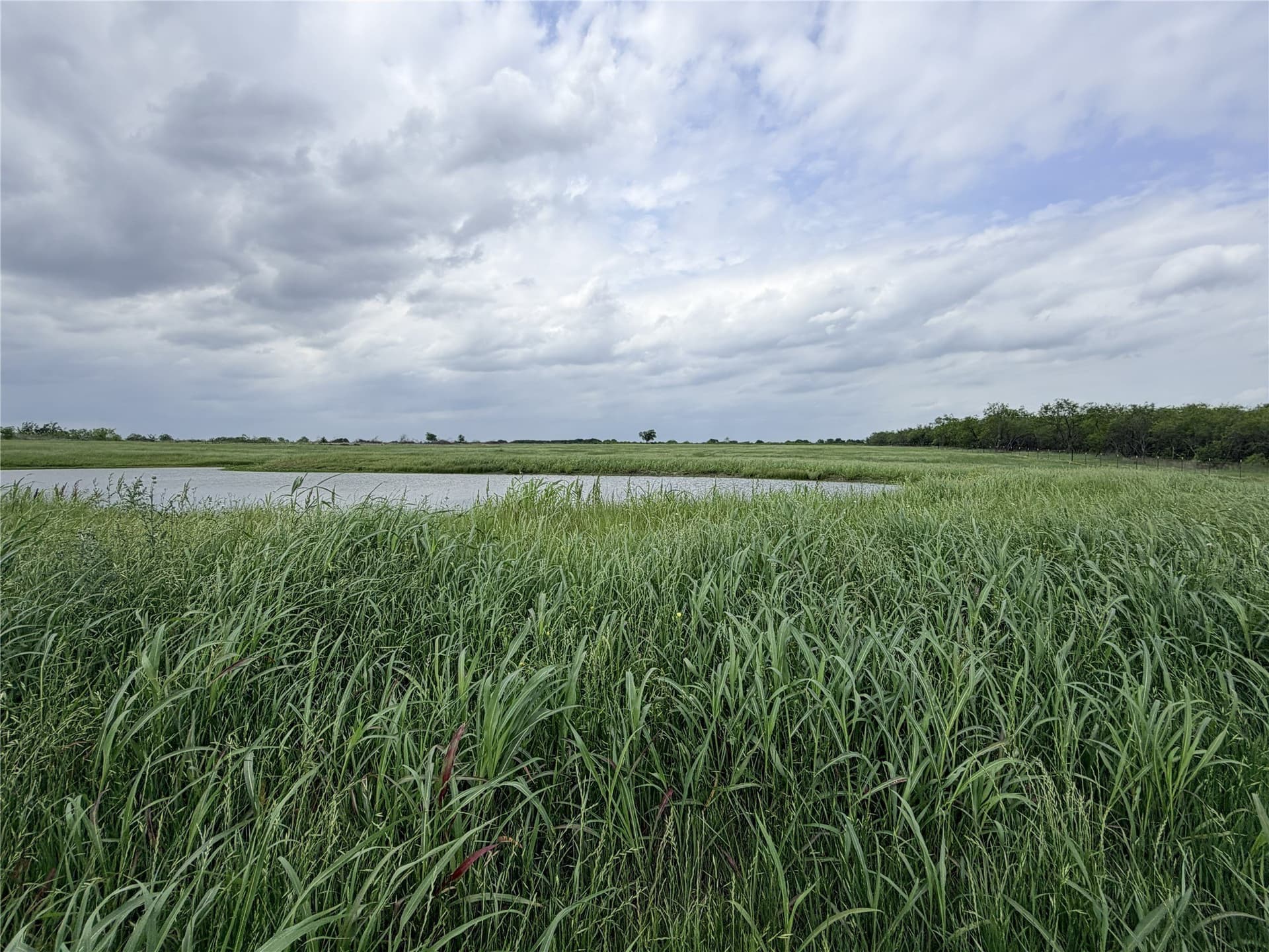 14 acres in Ellis County - photo 10
