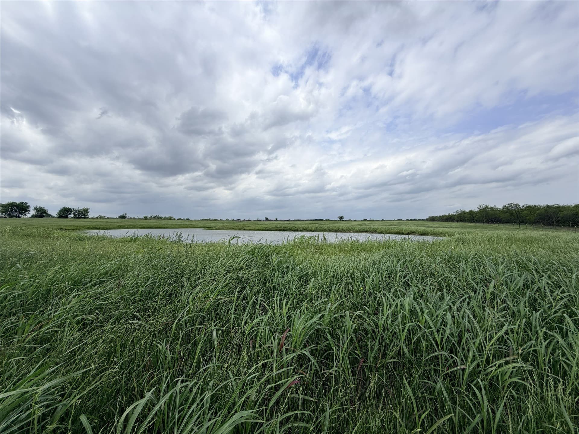 14 acres in Ellis County - photo 9