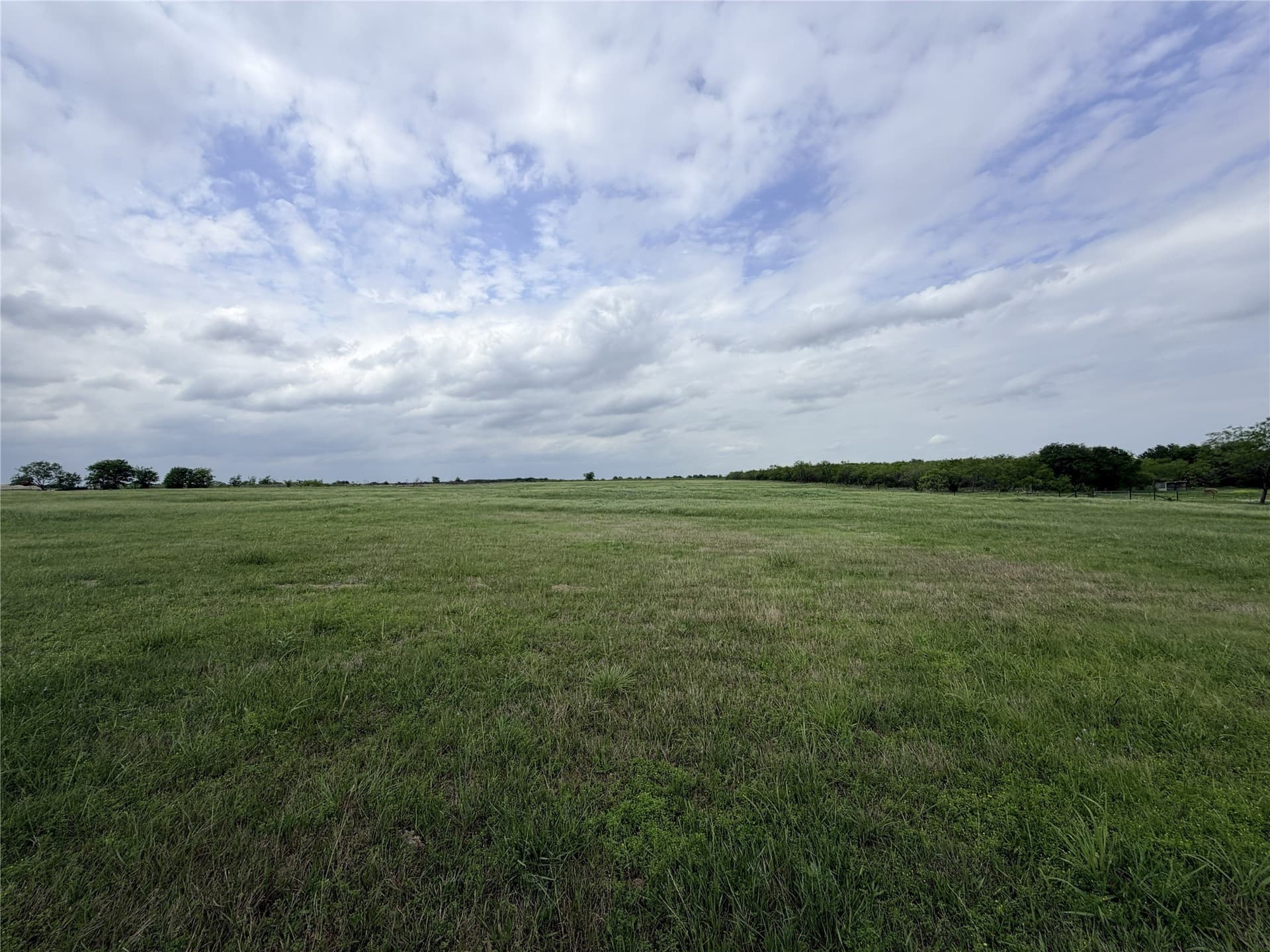 14 acres in Ellis County featured view