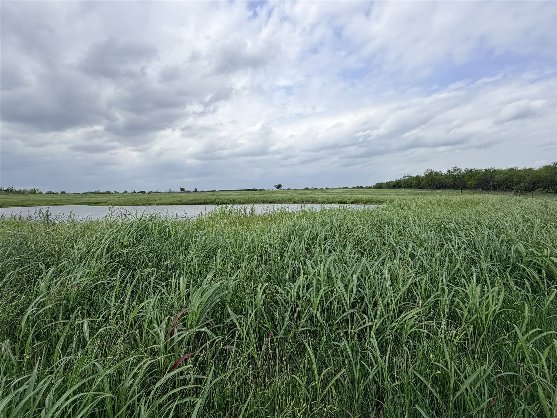 14 acres in Ellis County - photo 13