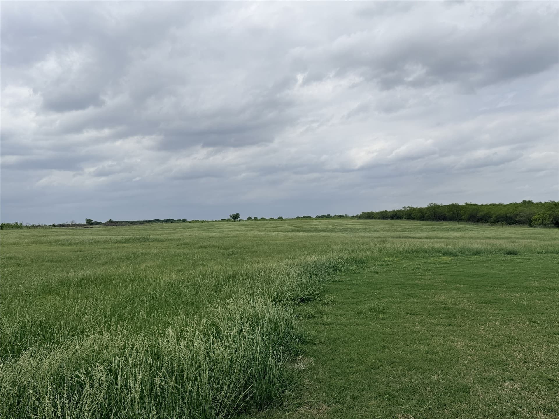 14 acres in Ellis County - photo 20