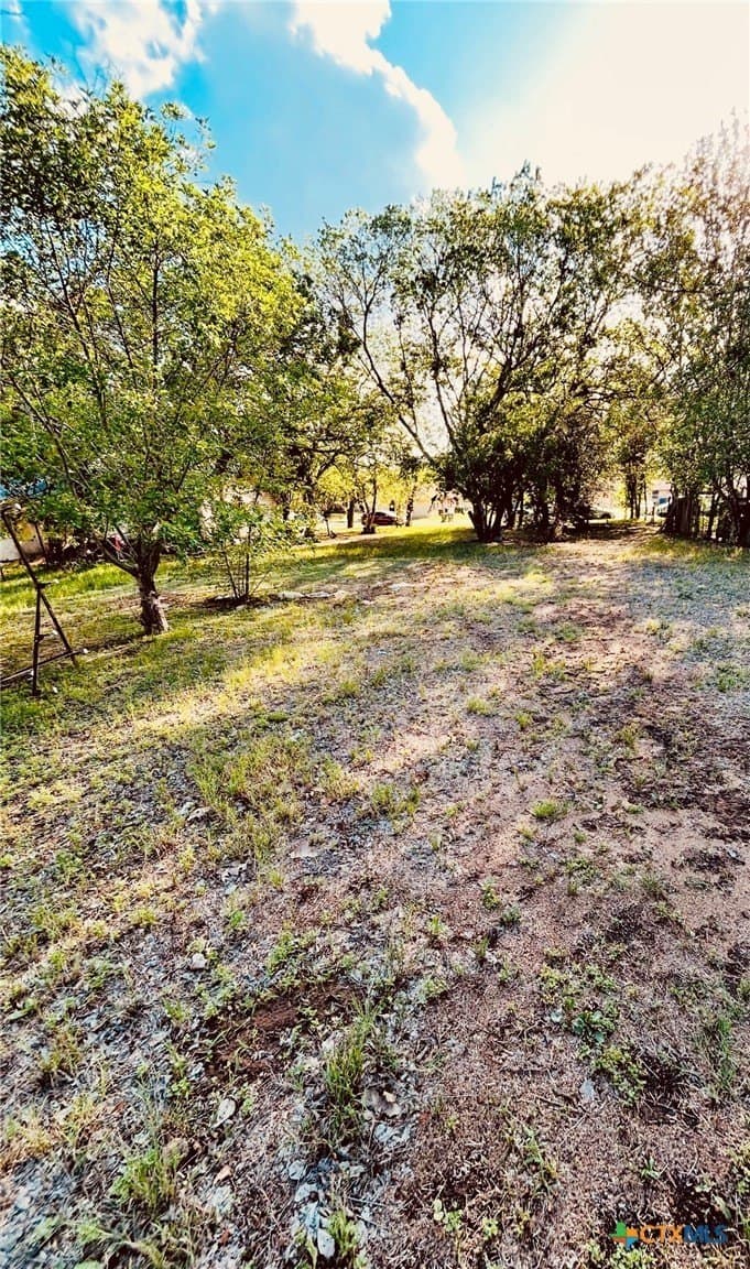 0.27 acres in Gonzales County gallery image 3