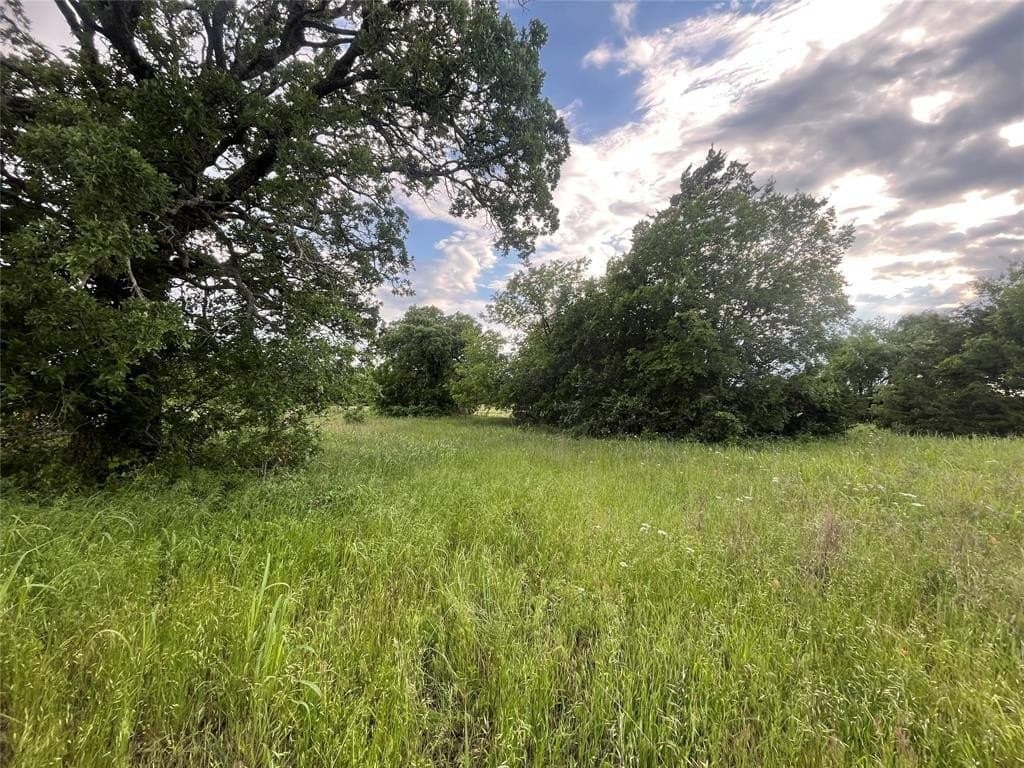 24.2 acres in Montague County gallery image 4