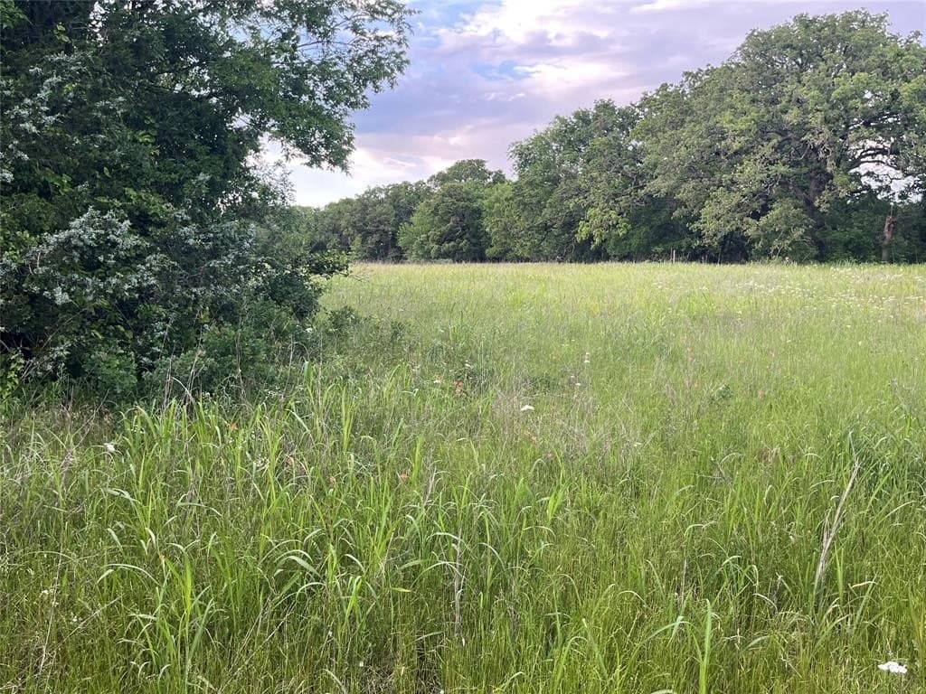 24.2 acres in Montague County