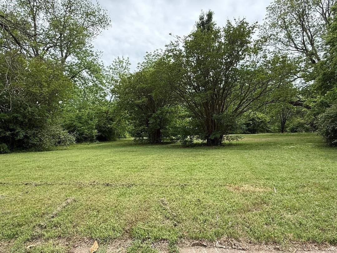 0.49 acres in Collin County gallery image 2