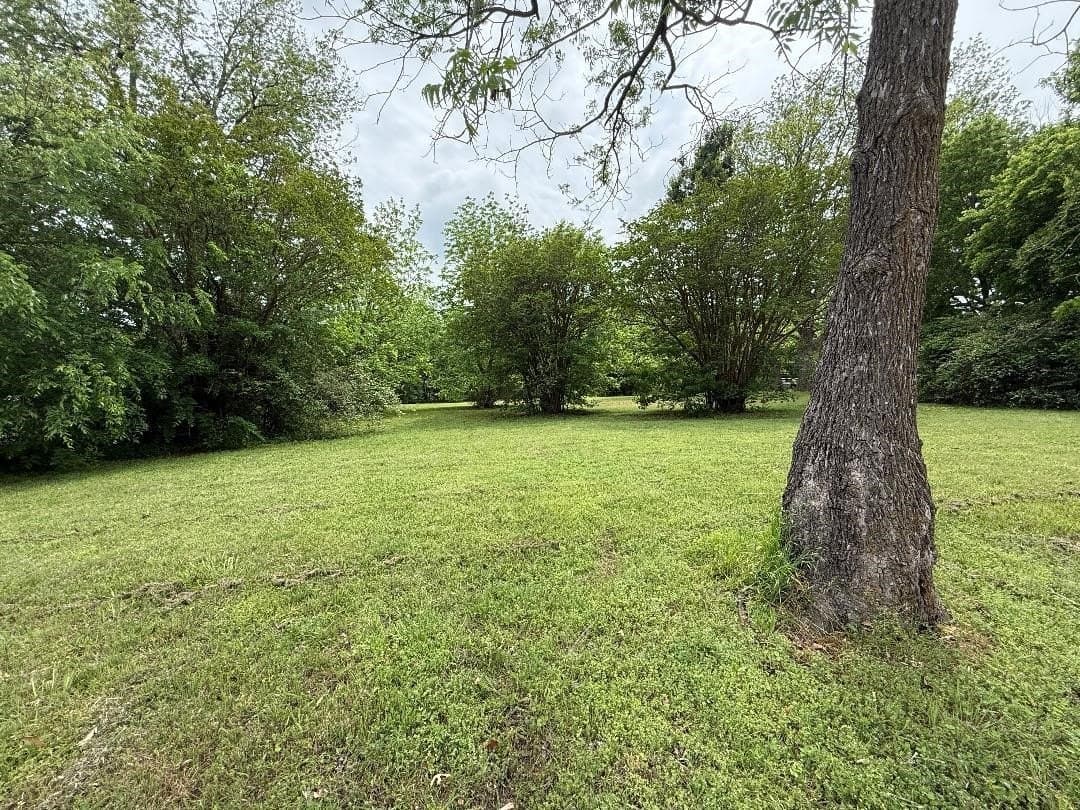 0.49 acres in Collin County gallery image 3