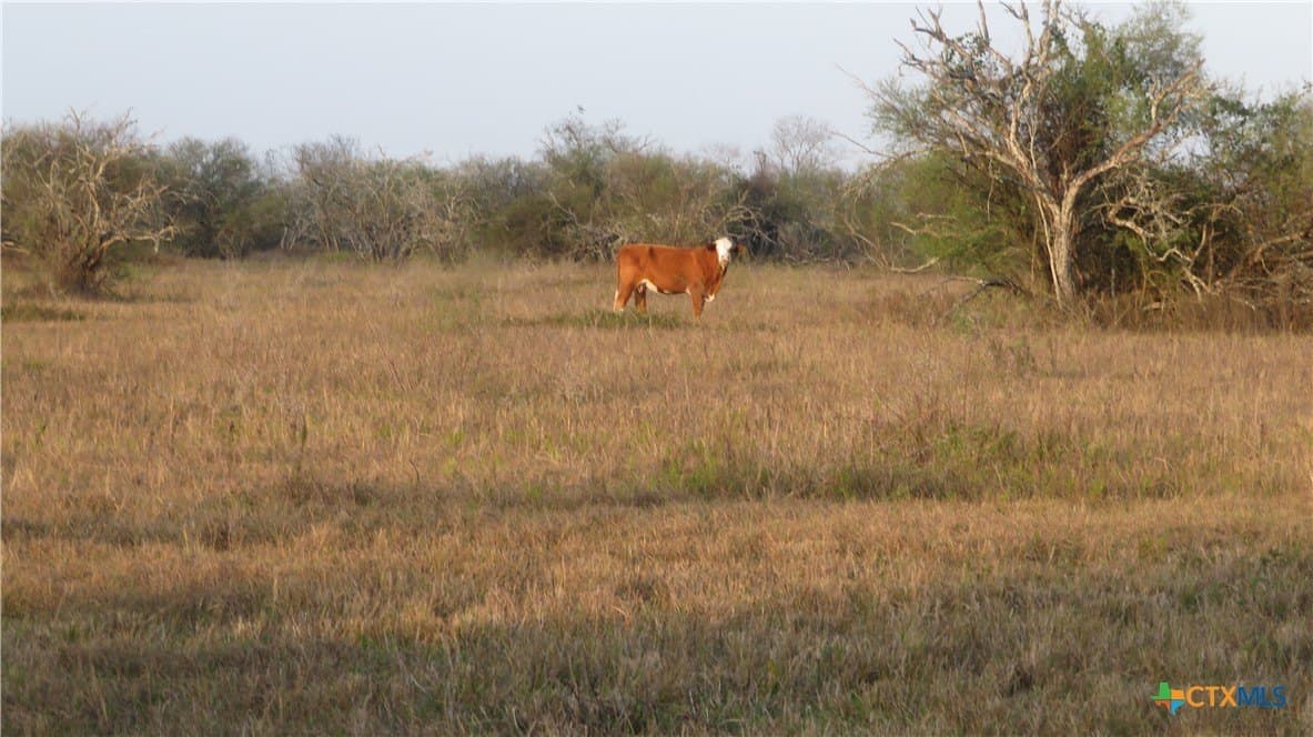 107.57 acres in Jackson County - photo 15