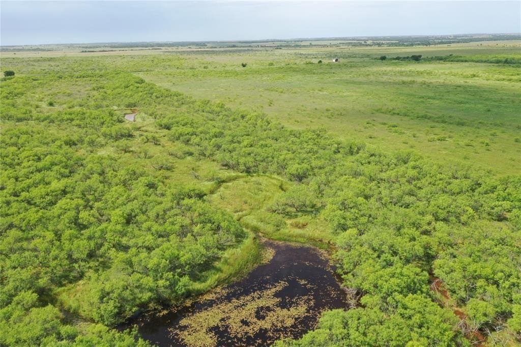47.77 acres in Clay County
