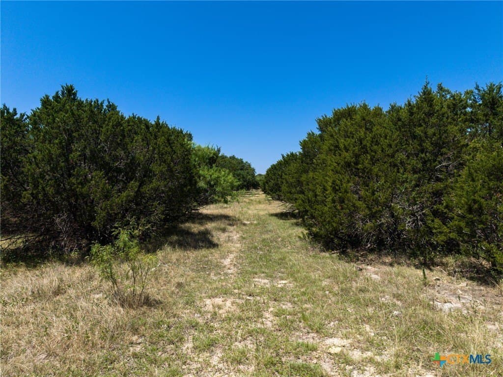 15 acres in Coryell County - photo 31