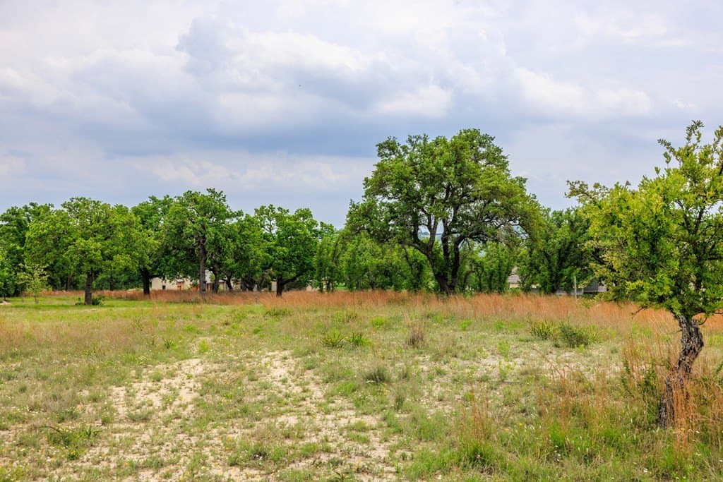 2.75 acres in Gillespie County - photo 5