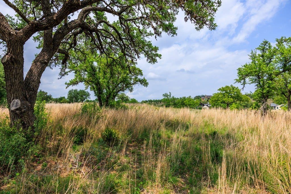 2.75 acres in Gillespie County - photo 9