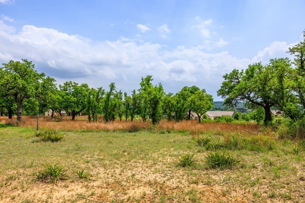 2.75 acres in Gillespie County - photo 7