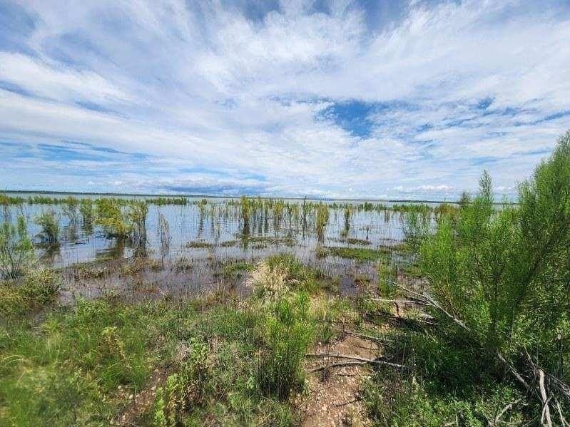 15.83 acres in Concho County