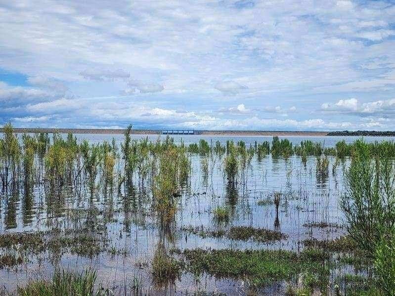 15.83 acres in Concho County gallery image 2