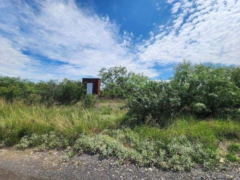 15.83 acres in Concho County gallery image 4