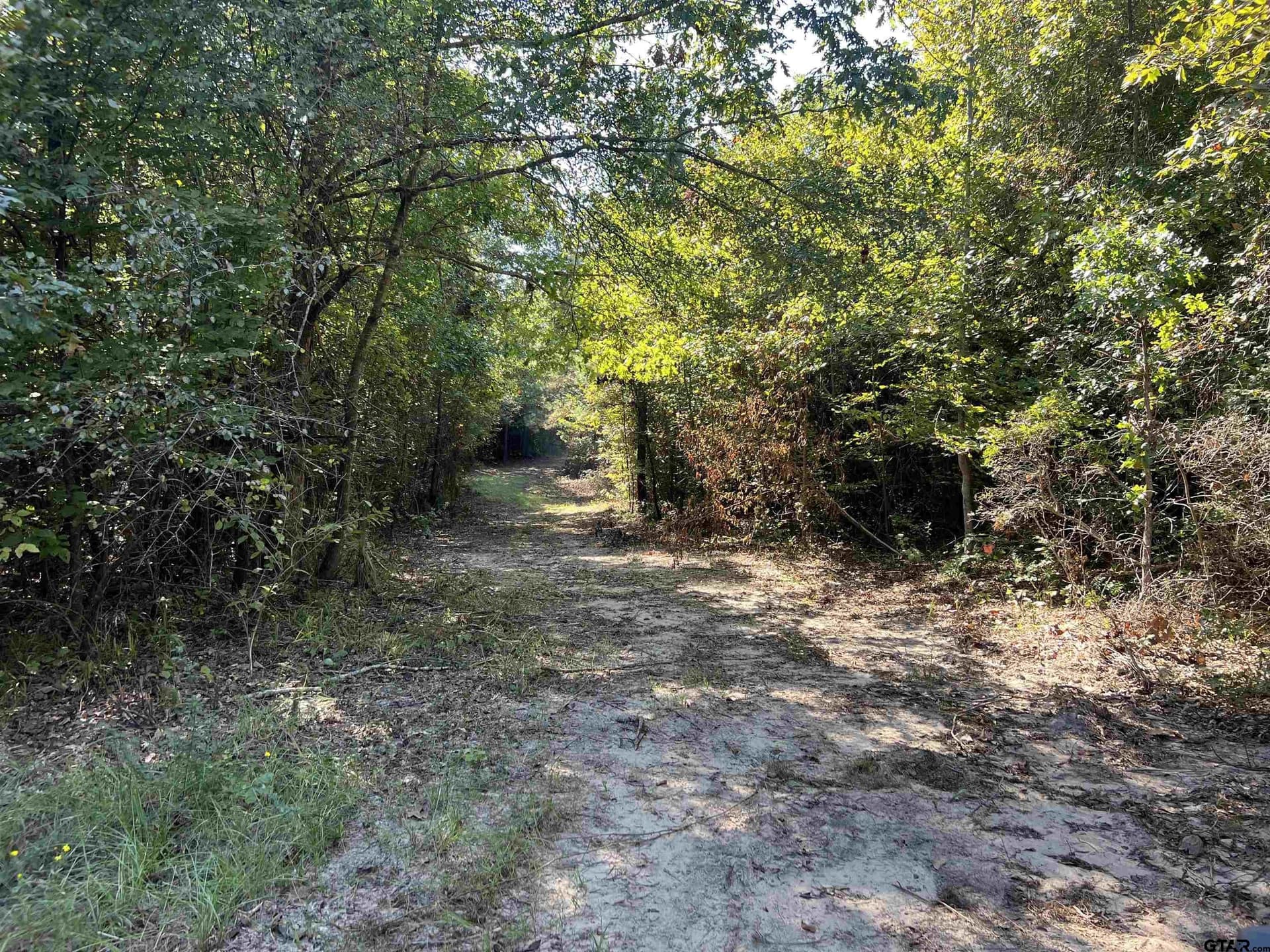 43.82 acres in Cass County gallery image 3