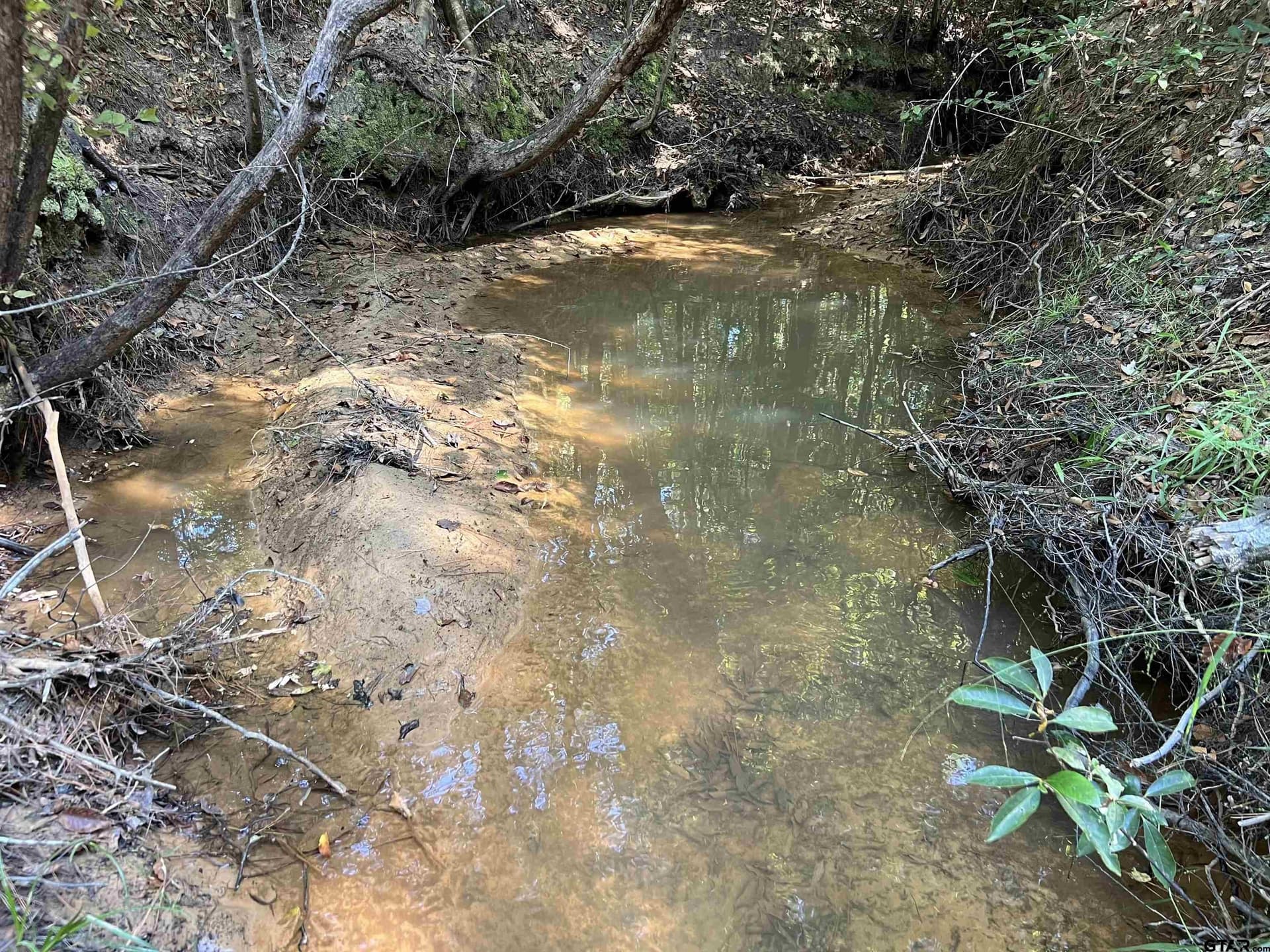 43.82 acres in Cass County featured view