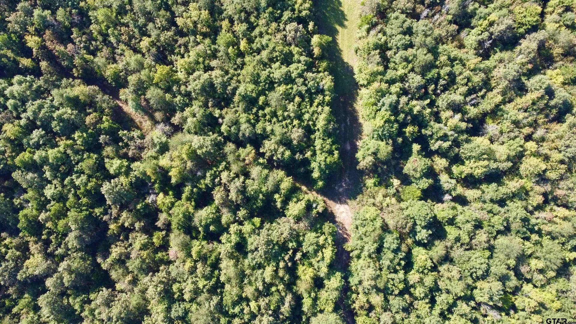43.82 acres in Cass County gallery image 2