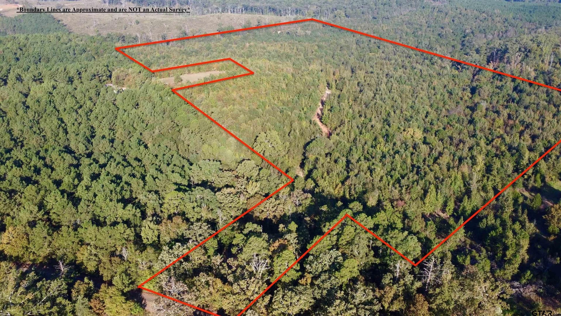 43.82 acres in Cass County gallery image 4