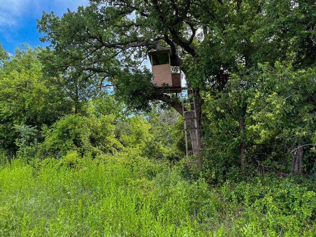 235 acres in Eastland County featured view