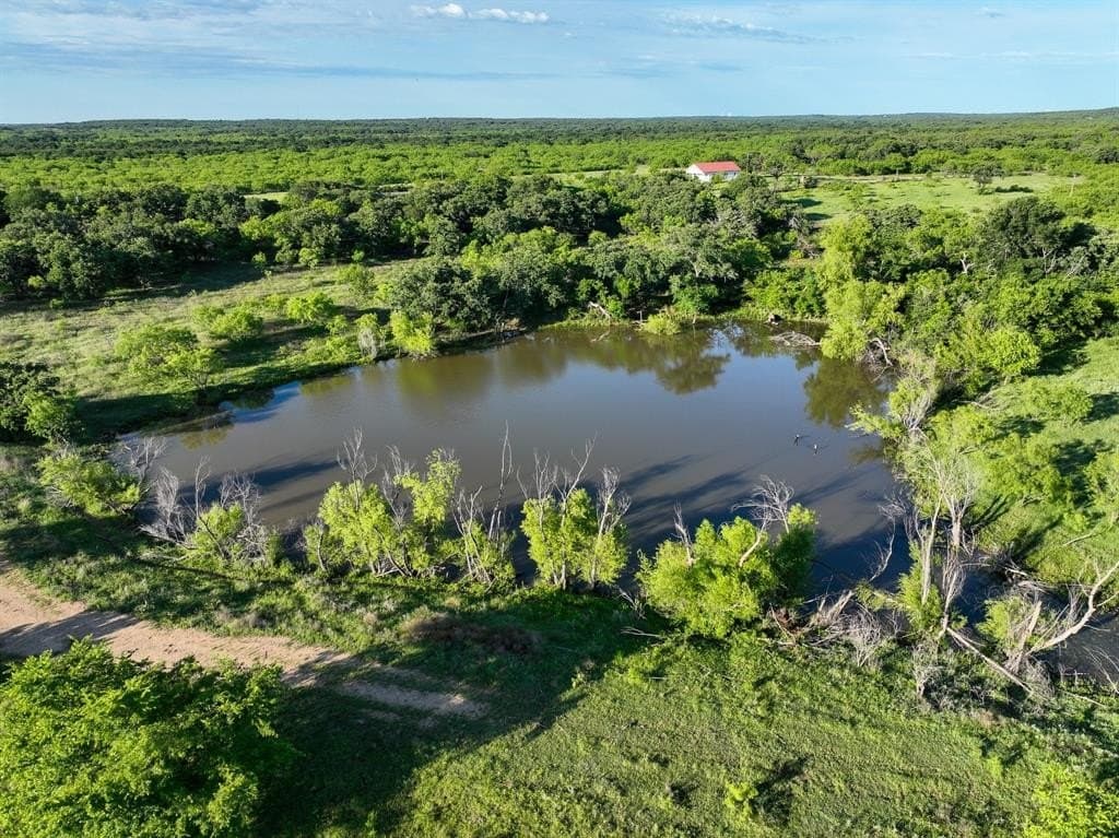 235 acres in Eastland County gallery image 3