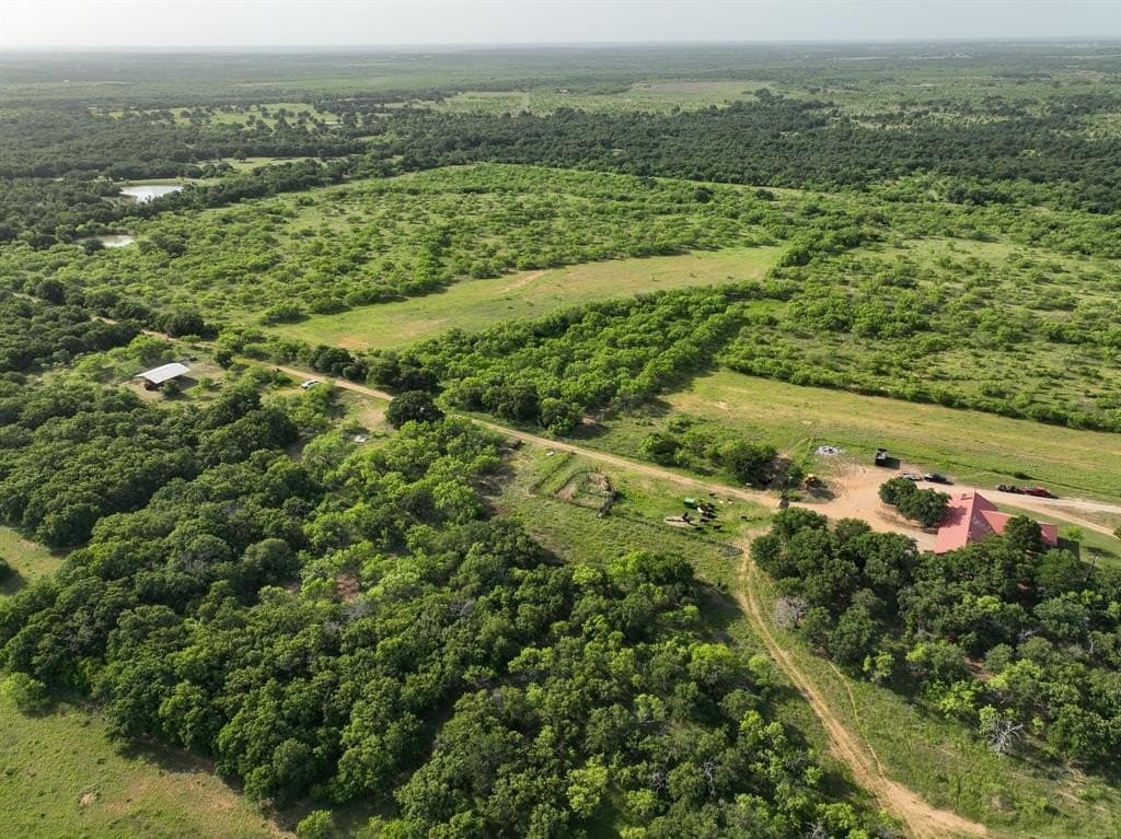 235 acres in Eastland County gallery image 2