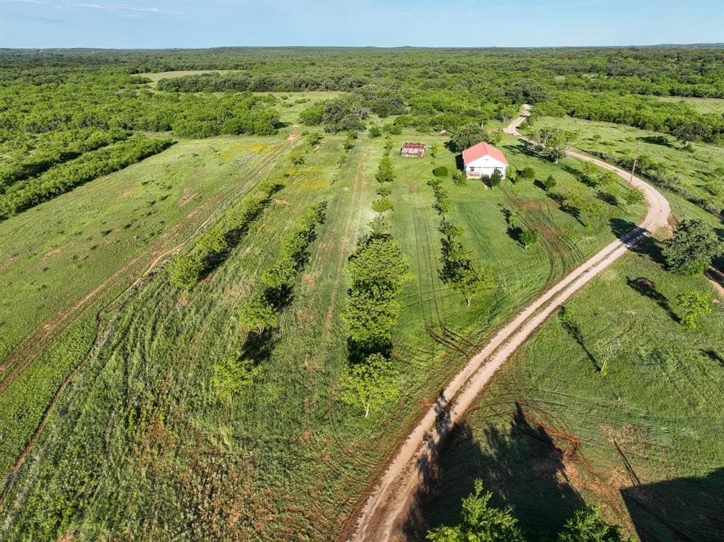 235 acres in Eastland County gallery image 4