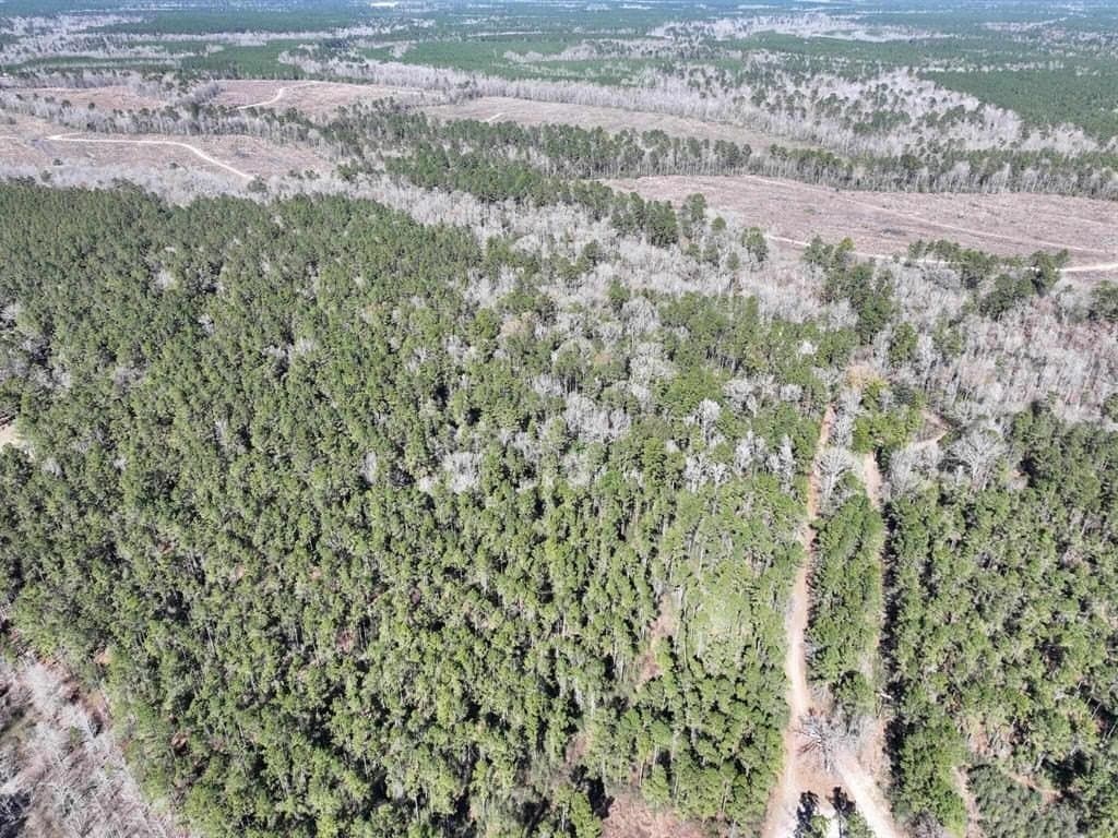 11.68 acres in Texas County featured view