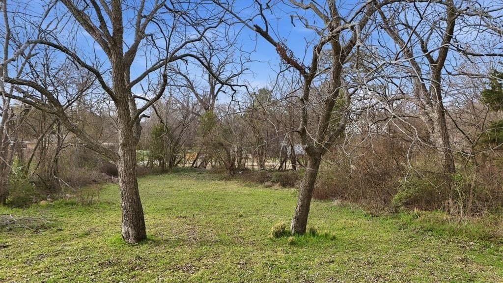 0.3 acres in Kaufman County gallery image 2