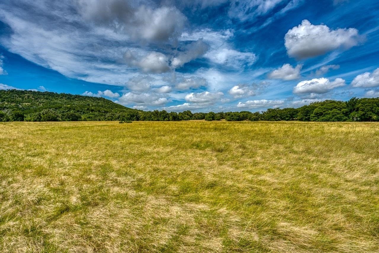 99.18 acres in Bell County - photo 19