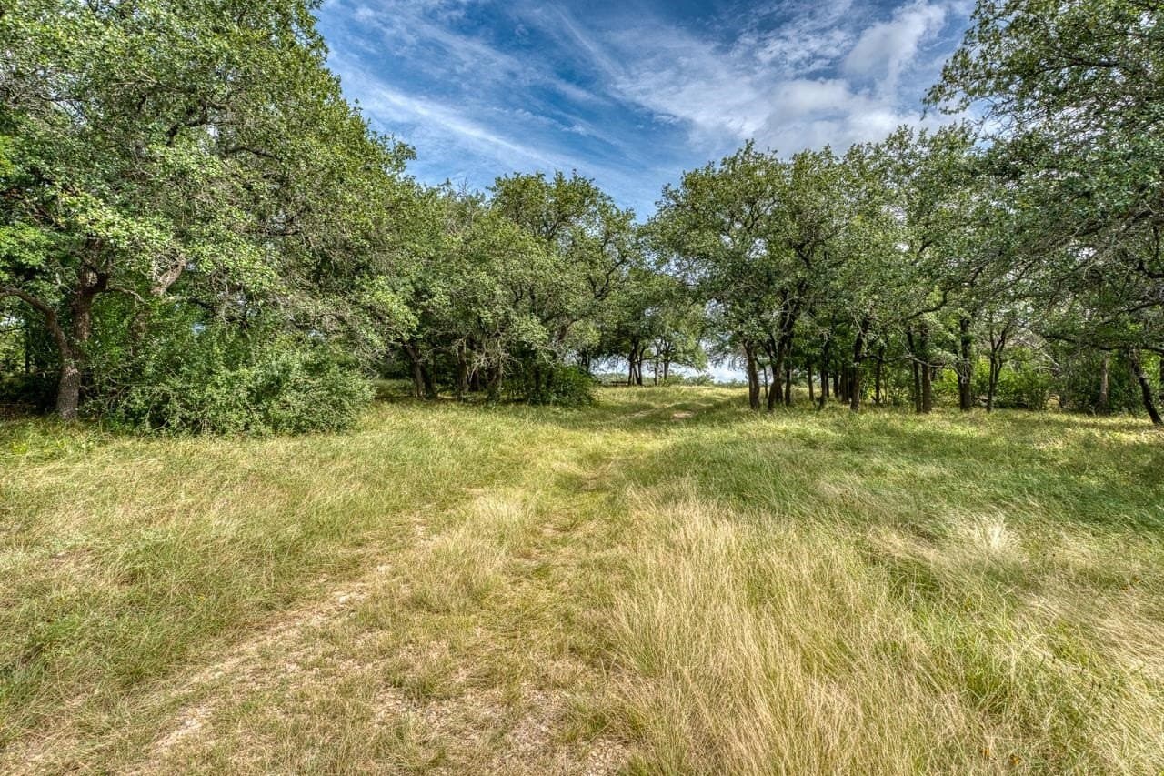 99.18 acres in Bell County - photo 31