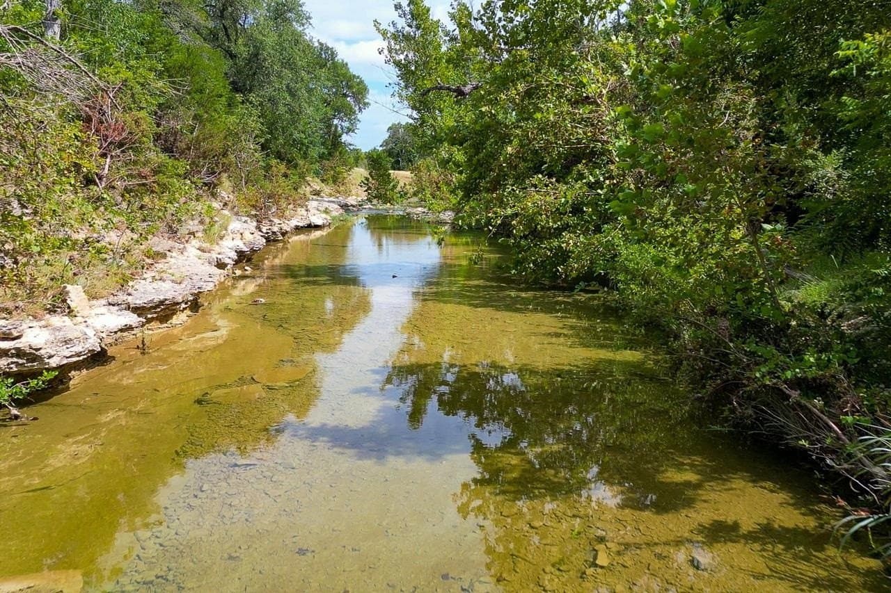 99.18 acres in Bell County - photo 7