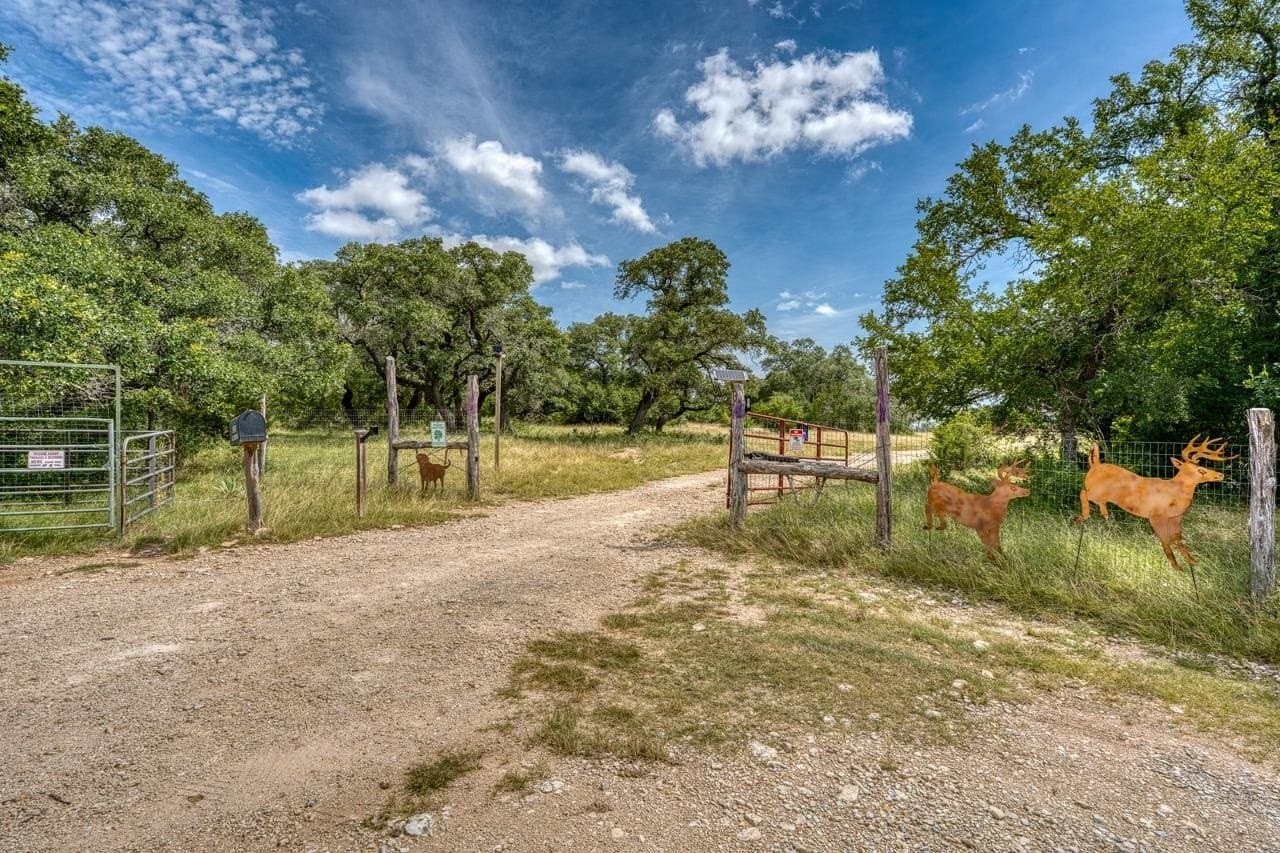 99.18 acres in Bell County gallery image 2