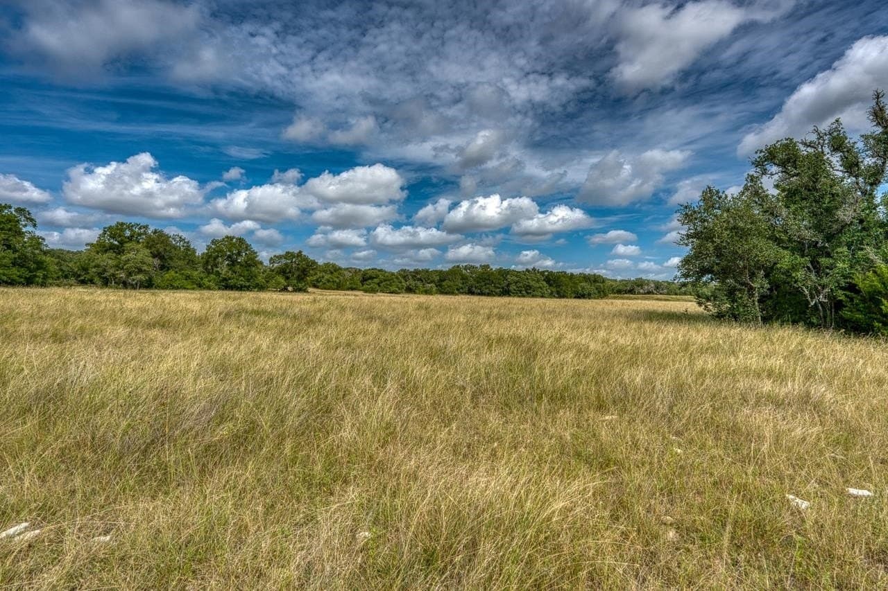 99.18 acres in Bell County - photo 33